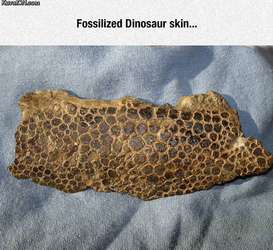 fossilized_gem.jpg