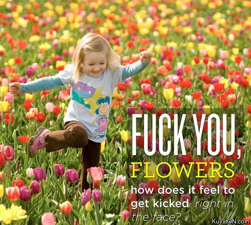 fuck_you_flowers.jpg