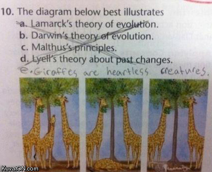 giraffes_theory.jpg