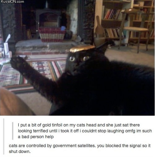 government_satellite_cat_control.jpg