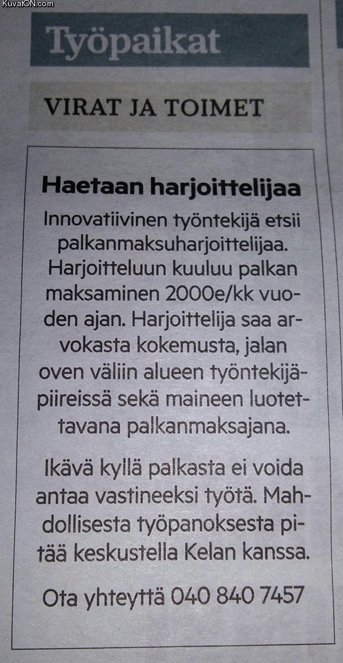 haetaan_harjoittelijaa.jpg