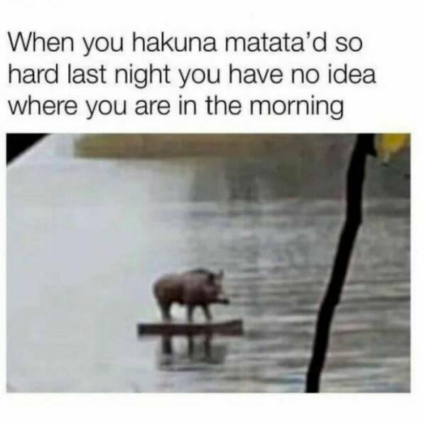 hakuna_matata.jpg