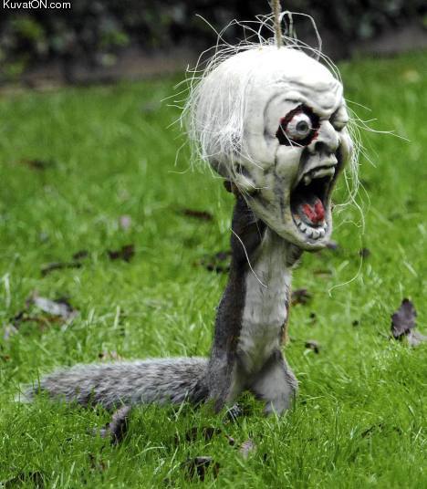 halloween_squirrel.jpg