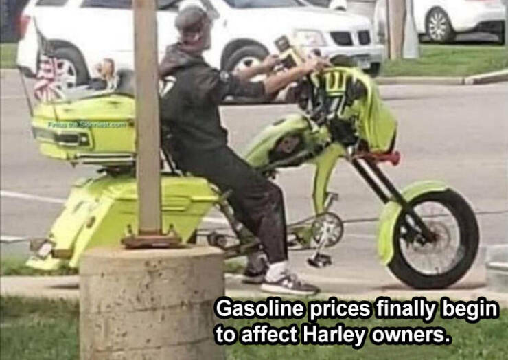 harleydriver.jpg