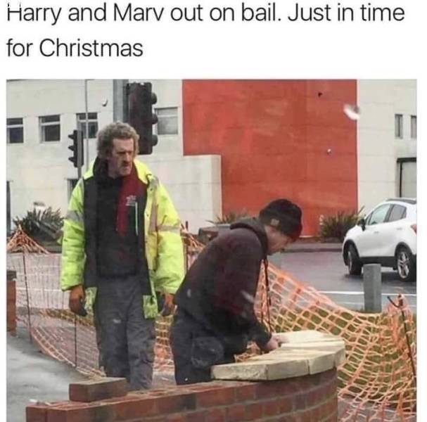 harry_and_marv2.jpg