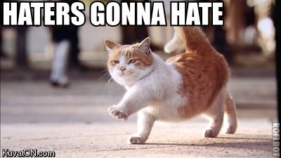 haters_gonna_hate_cat.jpg