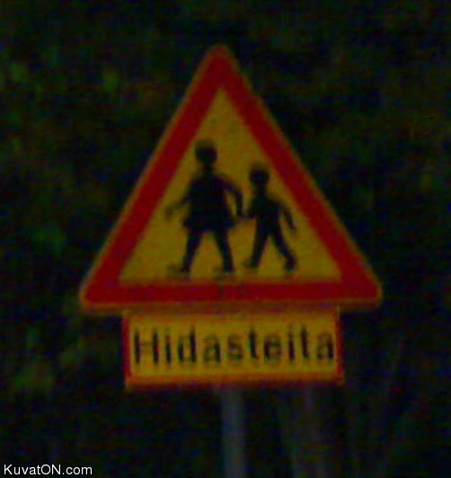 hidasteita.jpg