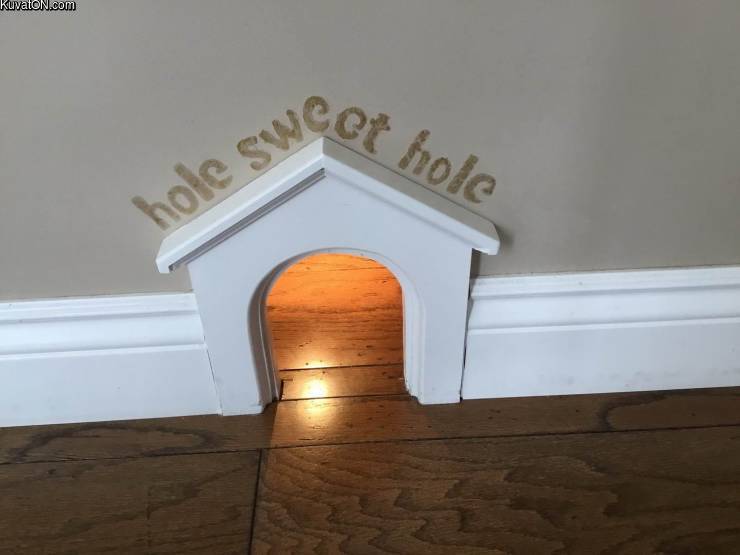 holesweethole.jpg