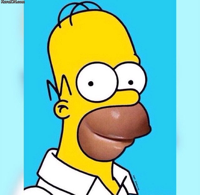 homer.jpg