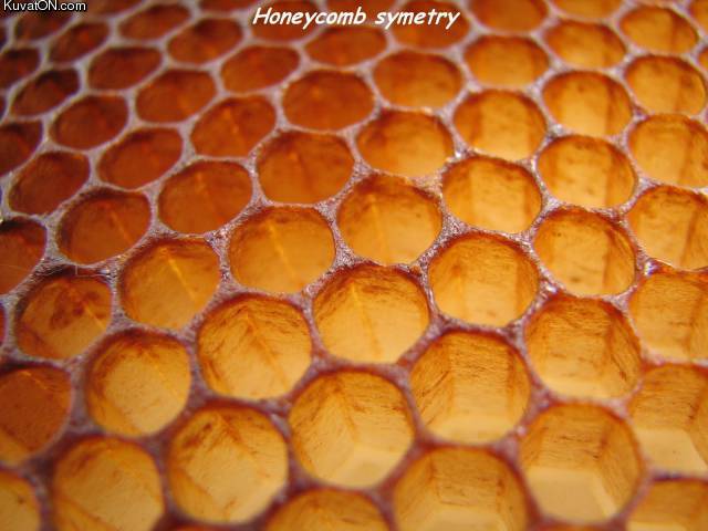 honeycombsymetry.jpg