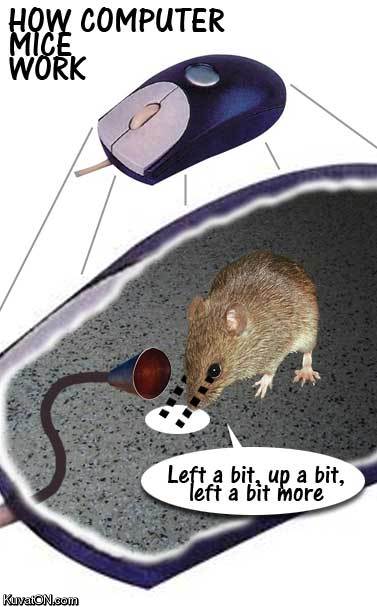 how_computer_mice_work.jpg