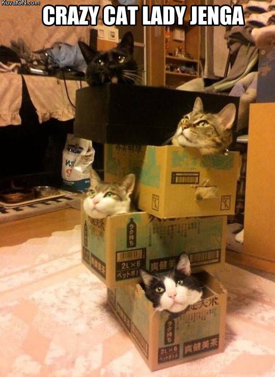 how_crazy_cat_ladies_play_jenga.jpg