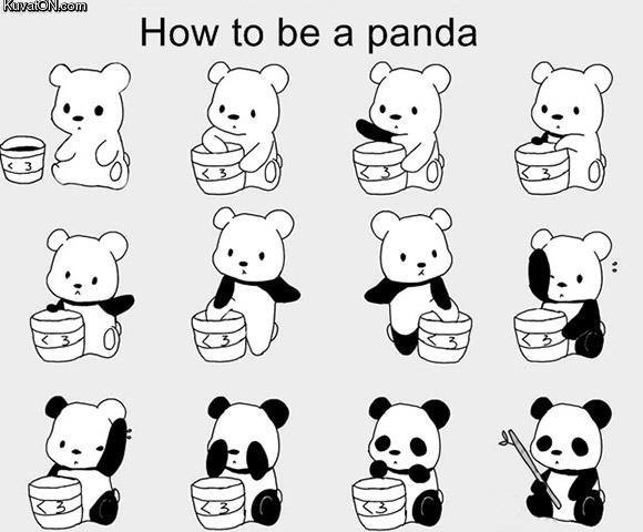 how_to_be_a_panda.jpg