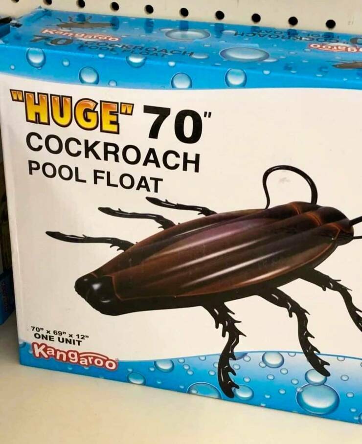 huge_cockroach.jpg