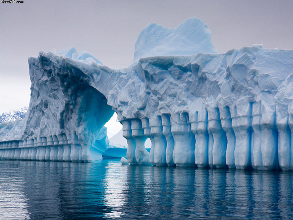 iceberg_pleneau_bay_antarctica.jpg