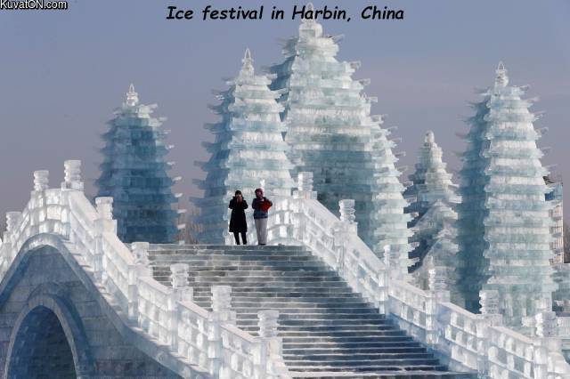 icefestival.jpg