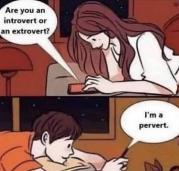 introvert_or_extrovert.jpg