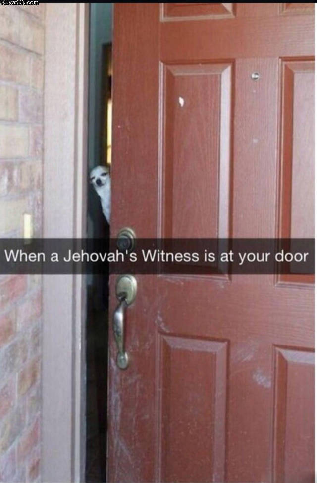 jehovat_ovella.jpg