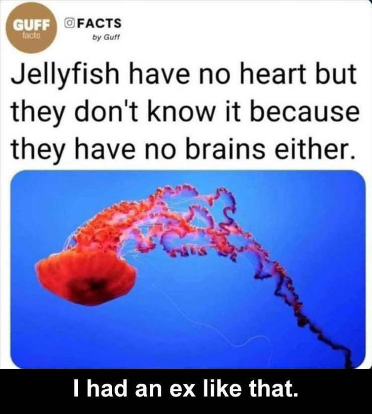 jelly.jpg