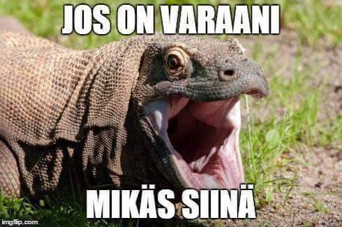 jos_on_varaa.jpg