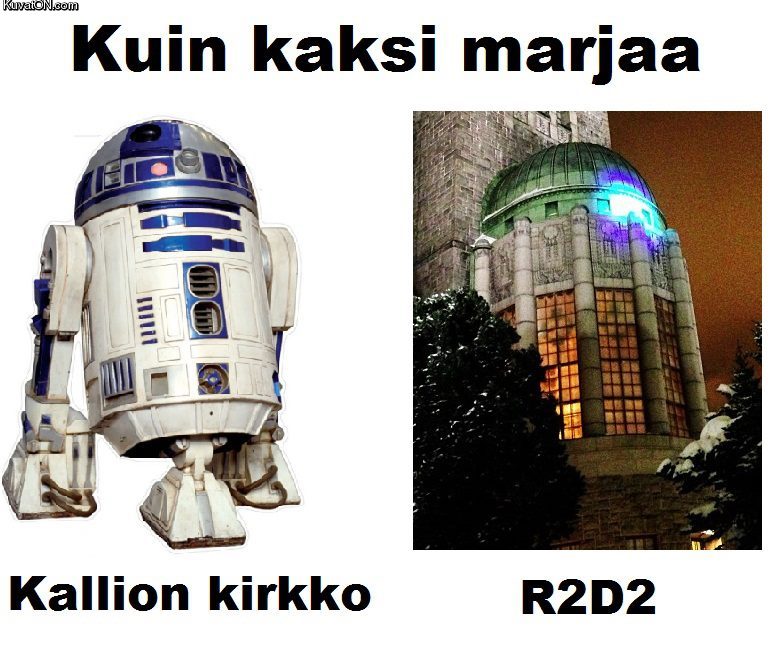 kaksi_marjaa_8.jpg