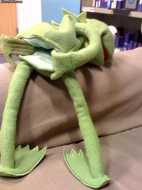 kermit_goatse_-_kermitse.jpg