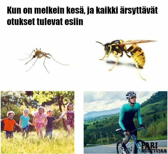 kesa_on_pian_taalla.jpg