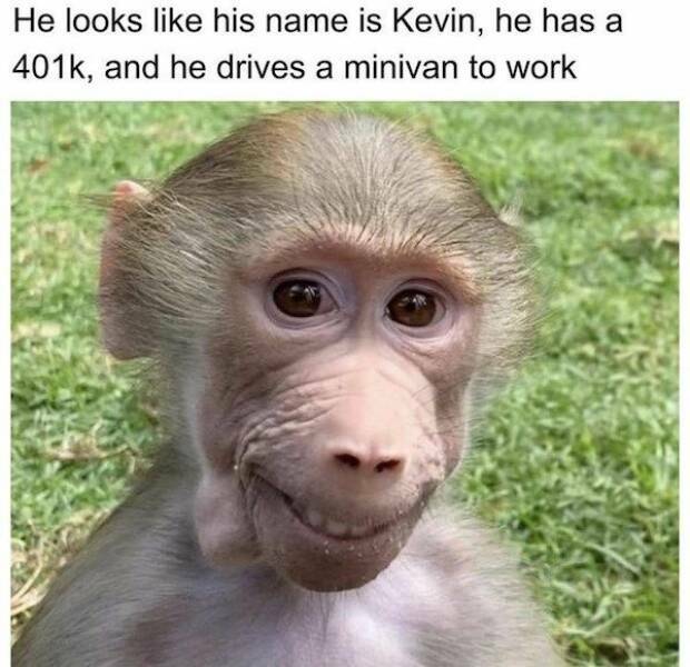 kevin2.jpg