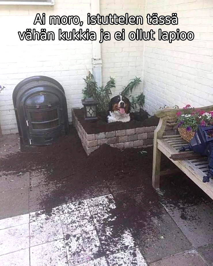 kiitti_hei_avust.jpg