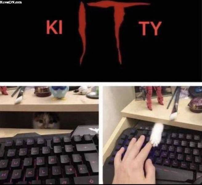 kitty3.jpg