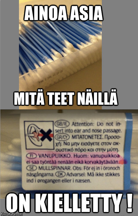 korvapuikko.jpg