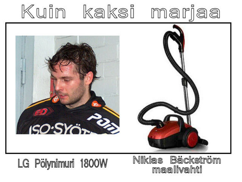 kuin_kaksi_marjaa3.jpg