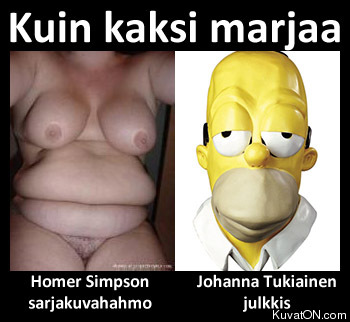 kuin_kaksi_marjaa_homer_simpson.jpg