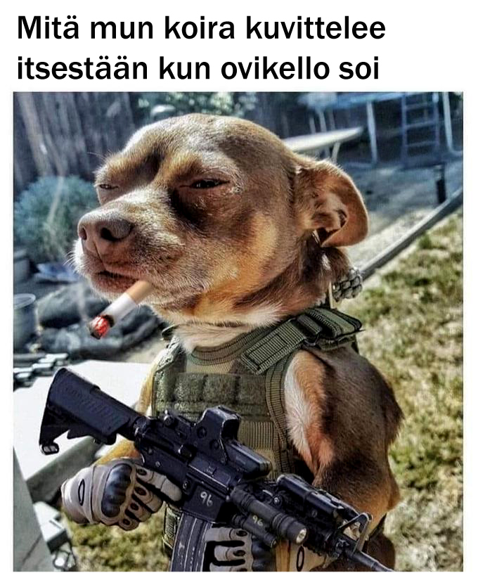 kukas_siel_taas_on.jpg