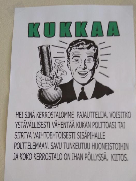 kukkaa03.jpg