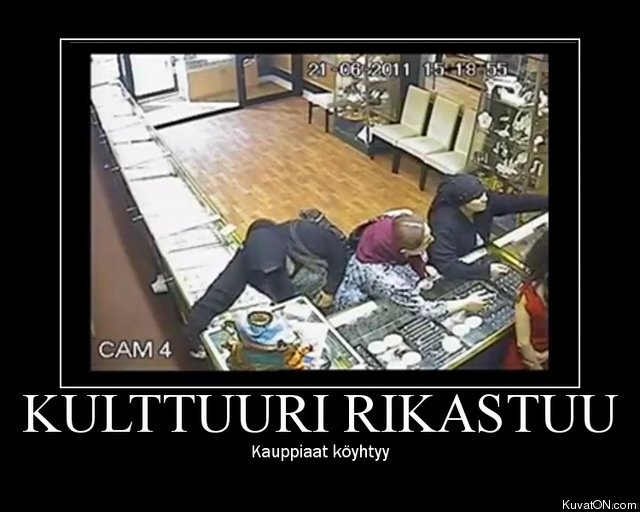 kulttuuri_rikastuu.jpg