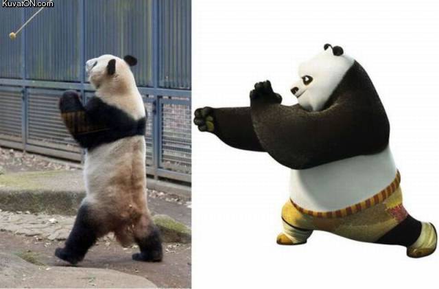 kungfu_panda.jpg