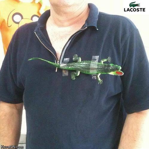 lacoste.jpg