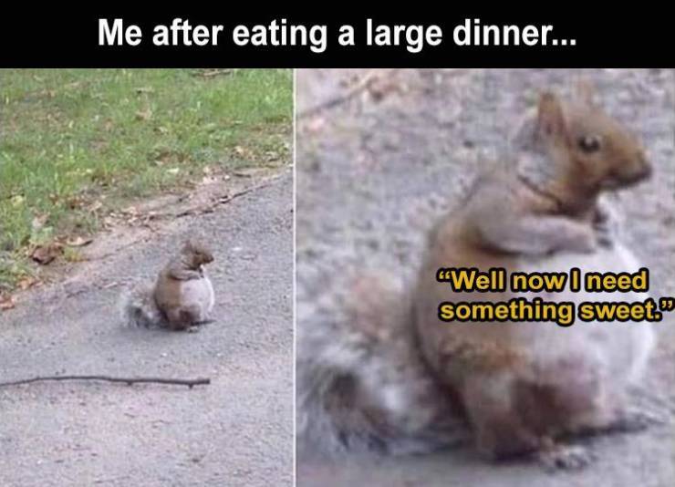 large_dinner.jpg