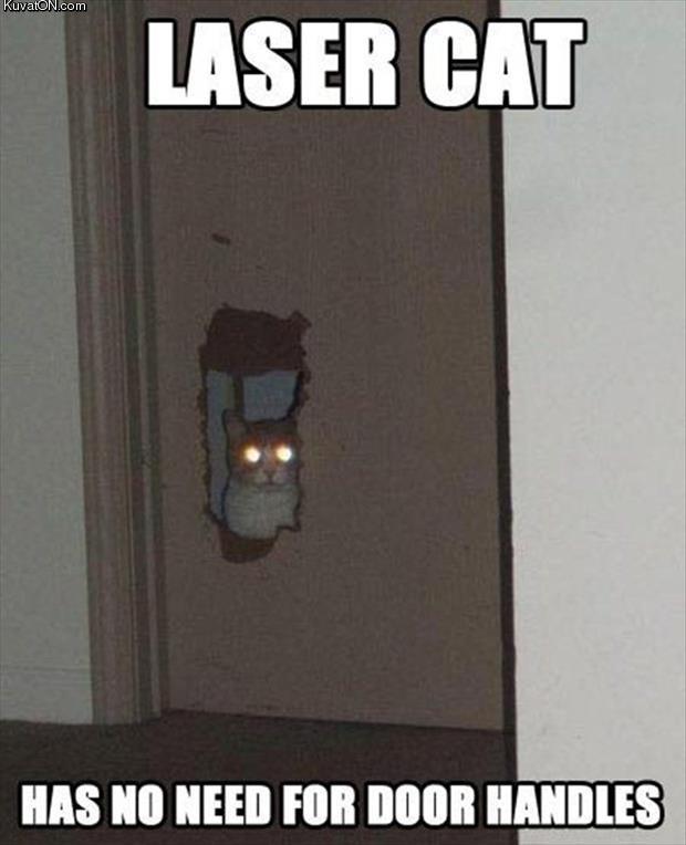 laser_cat_2.jpg