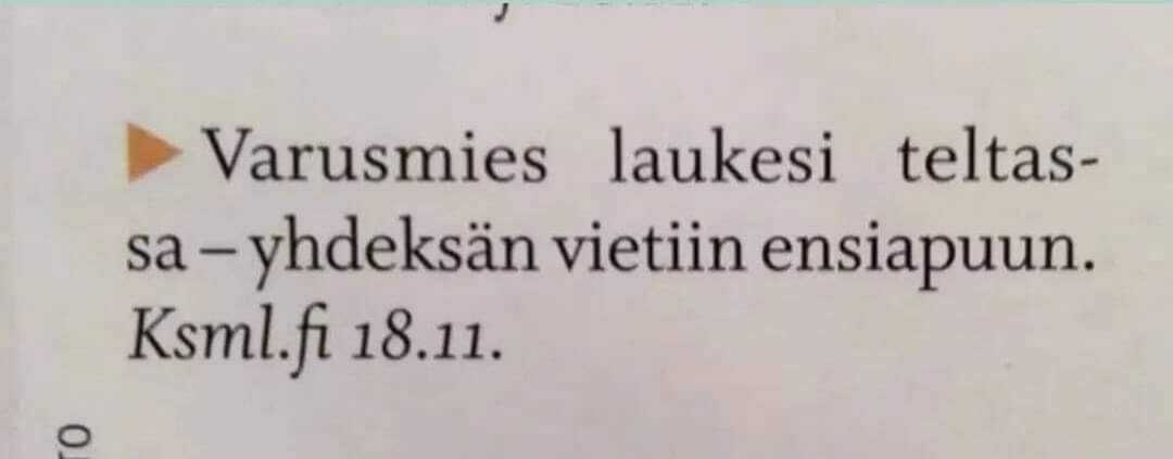 laukesi3.jpg