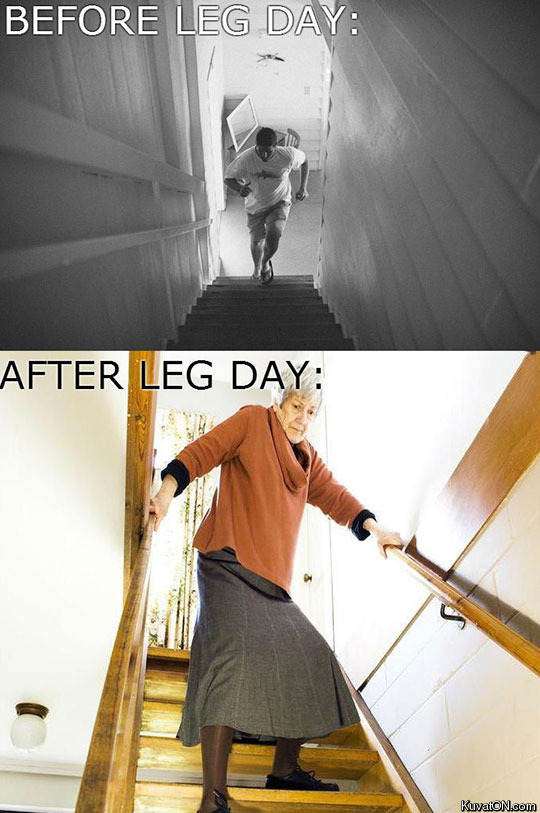 leg_day_struggles.jpg