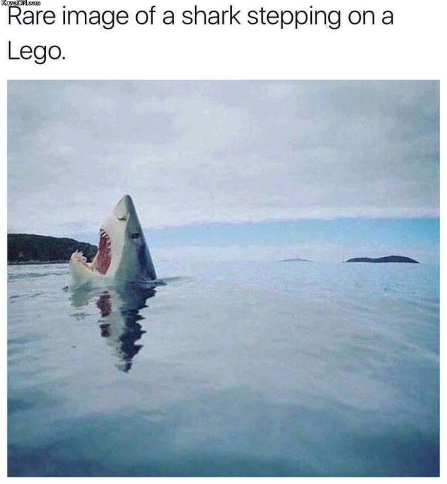 lego61.jpg