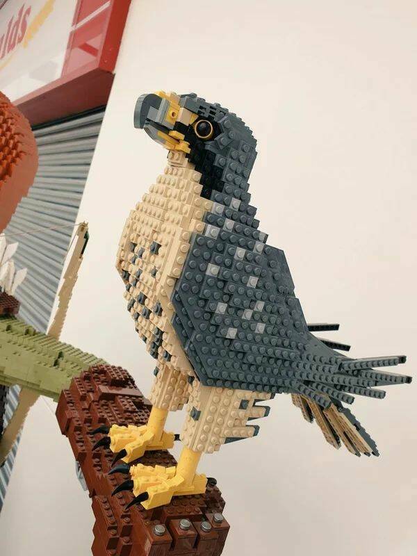 legohawk.jpg