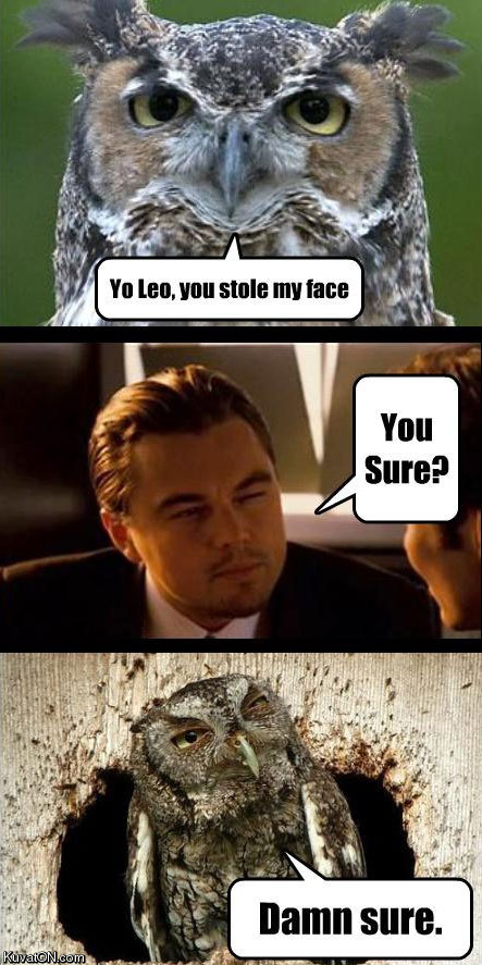 leo_face.jpg