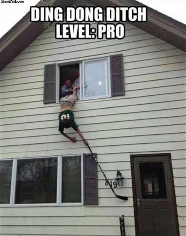 level_pro.jpg