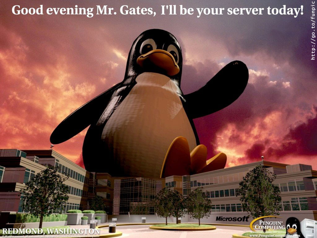 linux_server.jpg