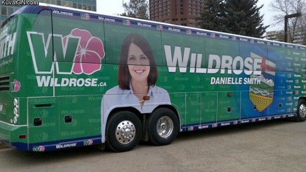 liwildrosebus1.jpg