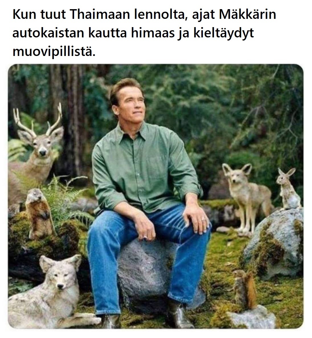 maailmapelastettu.jpg