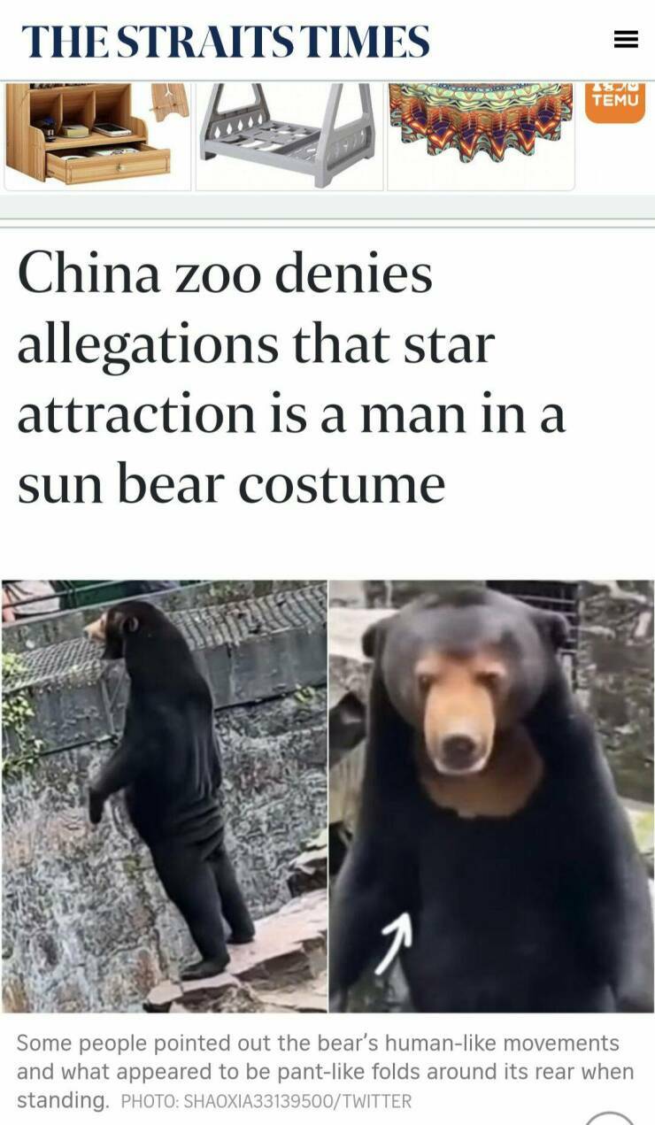 maninabearcostume.jpg